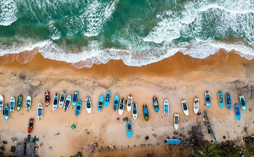 Aerial view of turquoise surf meeting the palm-backed shoreline