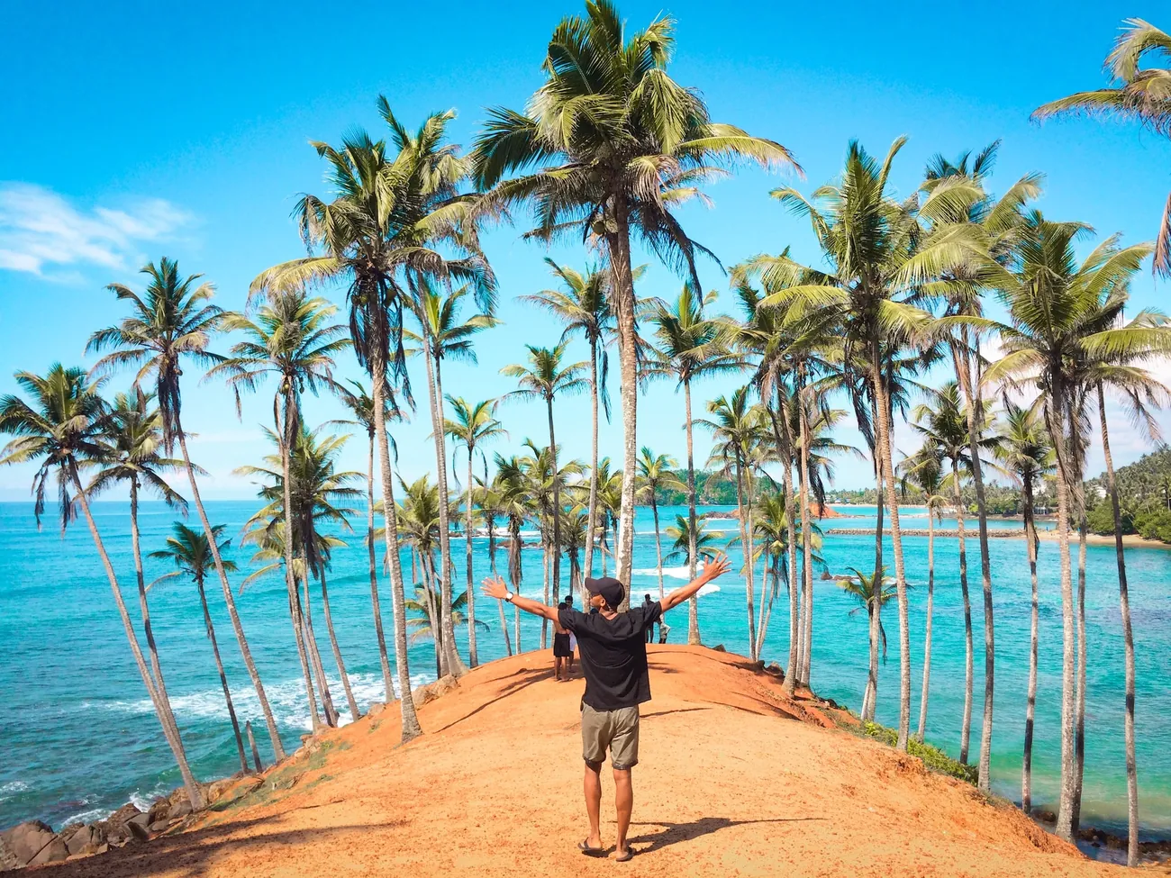 Traveller standing among tall coconut palms beside a turquoise bay